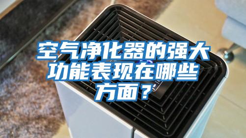 空氣凈化器的強大功能表現在哪些方面？