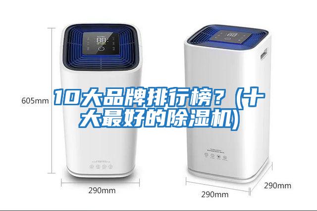 10大品牌排行榜？(十大最好的除濕機)