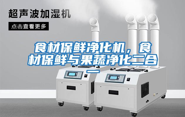 食材保鮮凈化機，食材保鮮與果蔬凈化二合一