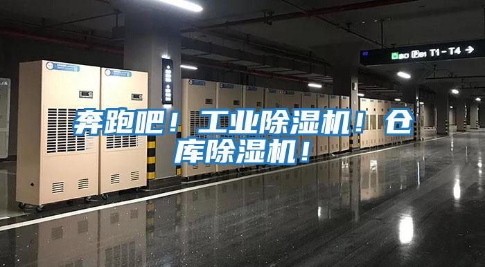 奔跑吧！工業(yè)除濕機！倉庫除濕機！