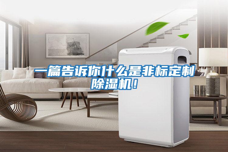 一篇告訴你什么是非標定制除濕機！