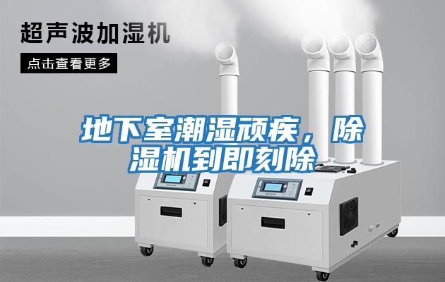 地下室潮濕頑疾，除濕機到即刻除