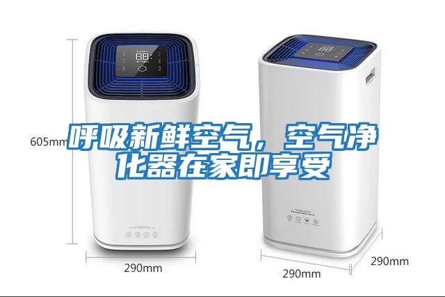 呼吸新鮮空氣，空氣凈化器在家即享受