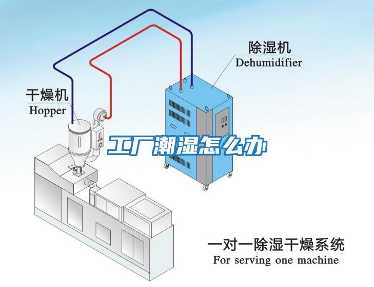 工廠(chǎng)潮濕怎么辦
