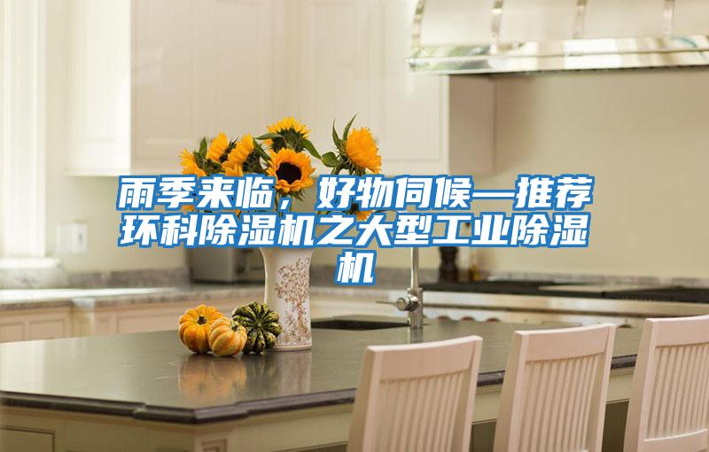 雨季來(lái)臨，好物伺候—推薦環(huán)科除濕機之大型工業(yè)除濕機