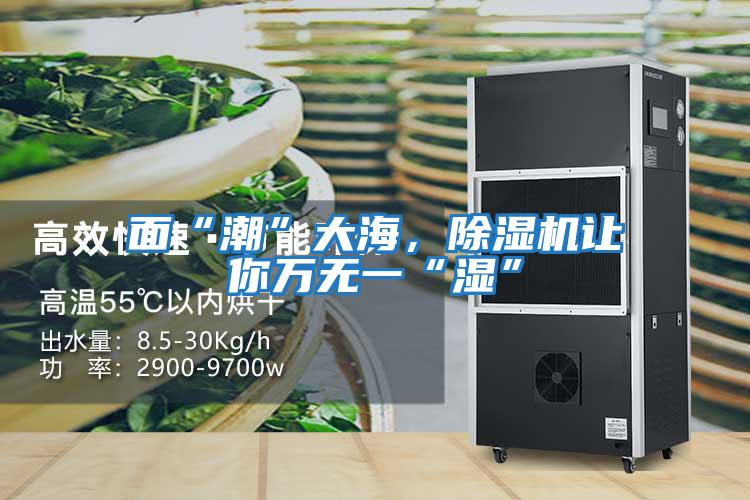 面“潮”大海，除濕機讓你萬(wàn)無(wú)一“濕”