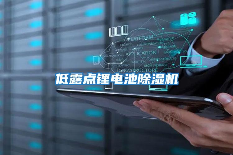 低露點(diǎn)鋰電池除濕機