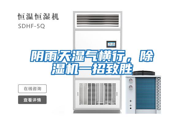 陰雨天濕氣橫行，除濕機一招致勝