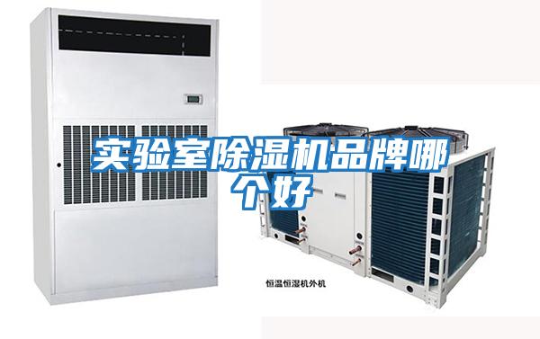 實(shí)驗室除濕機品牌哪個(gè)好