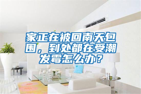 家正在被回南天包圍，到處都在受潮發(fā)霉怎么辦？