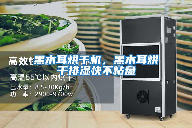 黑木耳烘干機，黑木耳烘干排濕快不粘盤(pán)