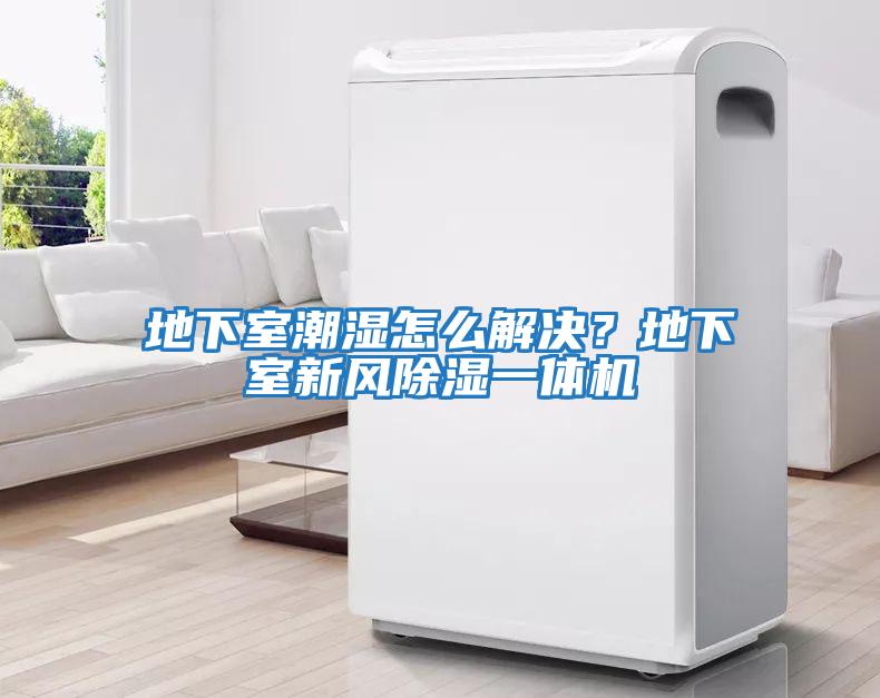 地下室潮濕怎么解決？地下室新風(fēng)除濕一體機