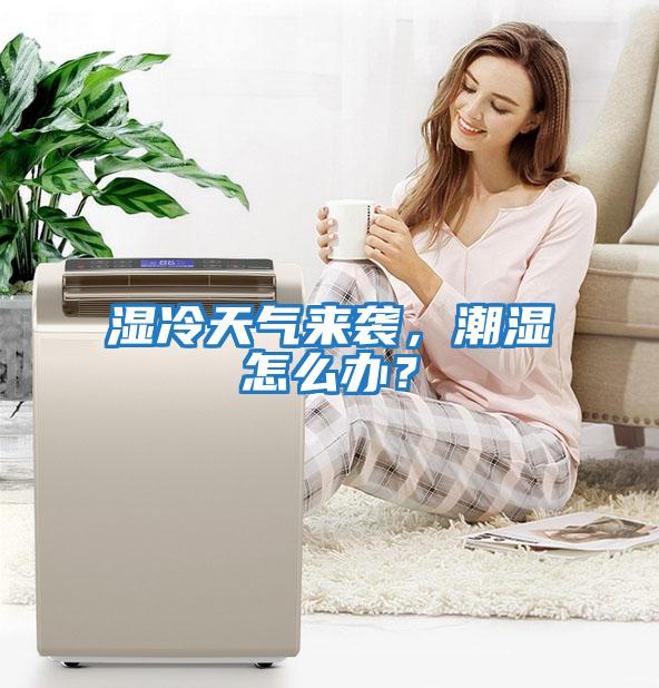 濕冷天氣來(lái)襲，潮濕怎么辦？