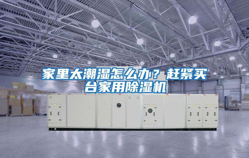 家里太潮濕怎么辦？趕緊買(mǎi)臺家用除濕機