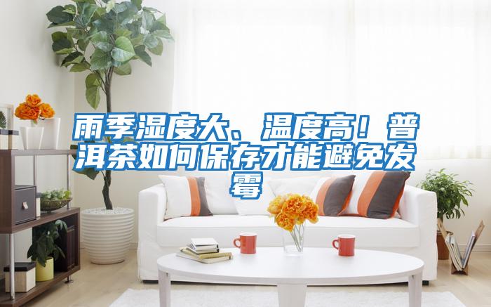 雨季濕度大、溫度高！普洱茶如何保存才能避免發(fā)霉