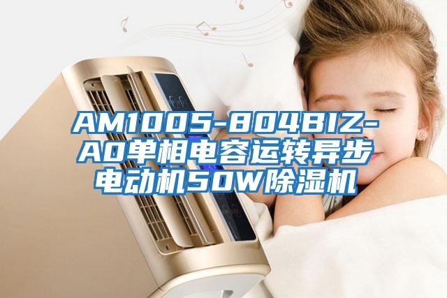 AM1005-804BIZ-A0單相電容運轉異步電動(dòng)機50W除濕機
