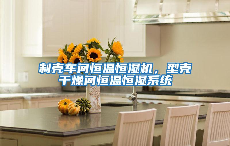 制殼車(chē)間恒溫恒濕機，型殼干燥間恒溫恒濕系統