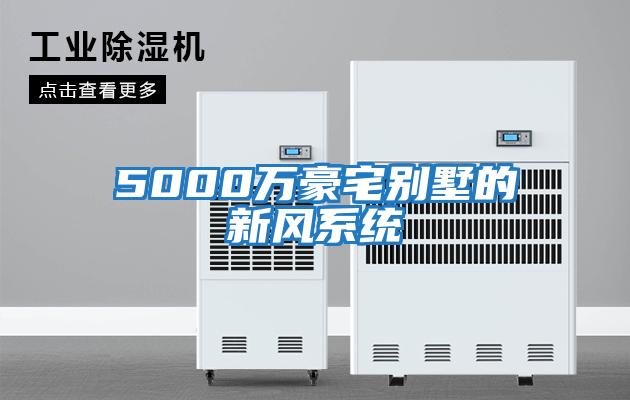 5000萬(wàn)豪宅別墅的新風(fēng)系統