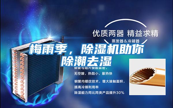 梅雨季，除濕機助你除潮去濕