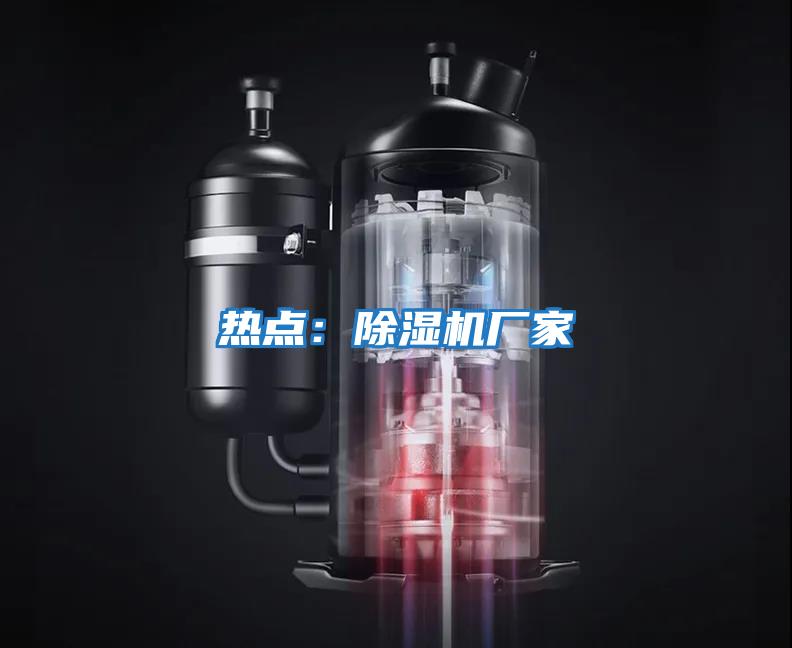 熱點(diǎn)：除濕機廠(chǎng)家