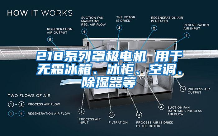 218系列罩極電機 用于無(wú)霜冰箱、冰柜、空調、除濕器等