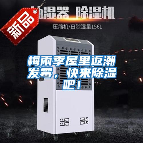梅雨季屋里返潮發(fā)霉，快來(lái)除濕吧！