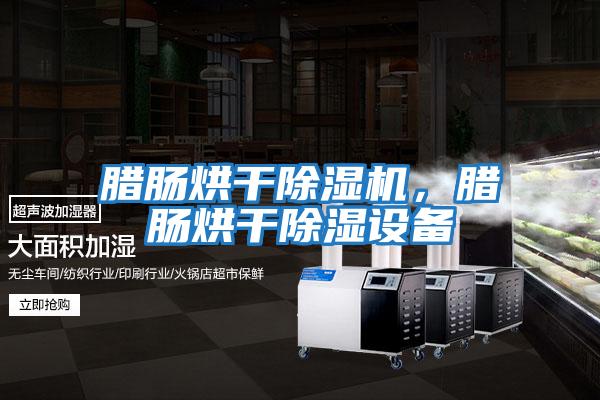 臘腸烘干除濕機，臘腸烘干除濕設備