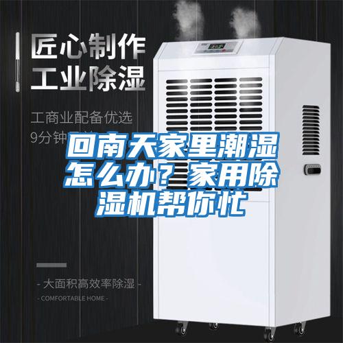 回南天家里潮濕怎么辦？家用除濕機幫你忙
