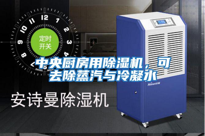 中央廚房用除濕機，可去除蒸汽與冷凝水