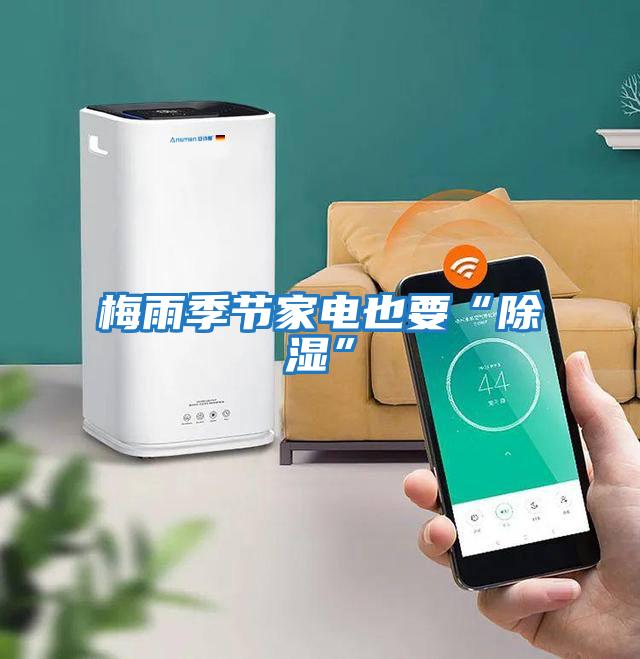 梅雨季節家電也要“除濕”