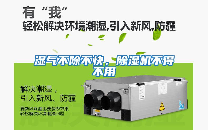 濕氣不除不快，除濕機不得不用
