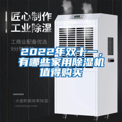 2022年雙十一，有哪些家用除濕機值得購買(mǎi)