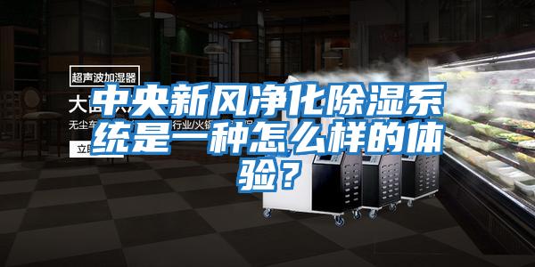中央新風(fēng)凈化除濕系統是一種怎么樣的體驗？