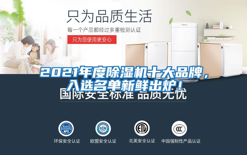 2021年度除濕機十大品牌，入選名單新鮮出爐！