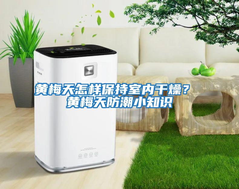 黃梅天怎樣保持室內干燥？ 黃梅天防潮小知識