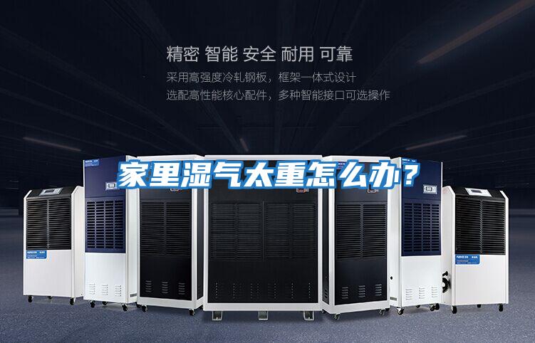 家里濕氣太重怎么辦？