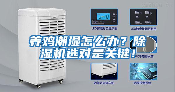 養雞潮濕怎么辦？除濕機選對是關(guān)鍵！