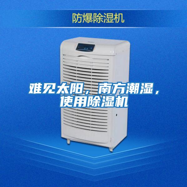 難見(jiàn)太陽(yáng)，南方潮濕，使用除濕機