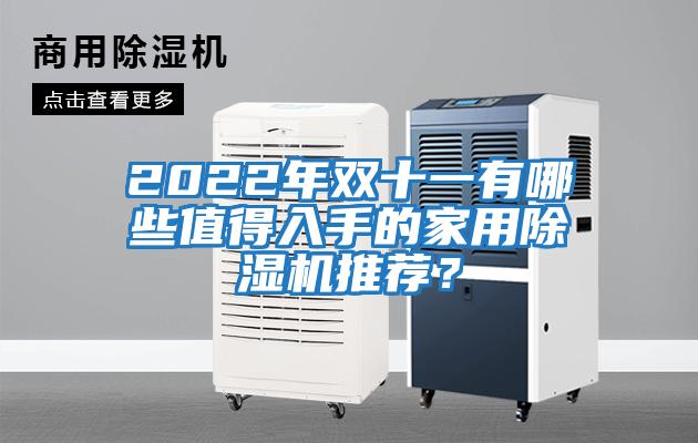 2022年雙十一有哪些值得入手的家用除濕機推薦？