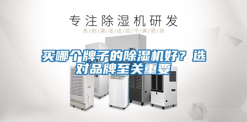 買(mǎi)哪個(gè)牌子的除濕機好？選對品牌至關(guān)重要