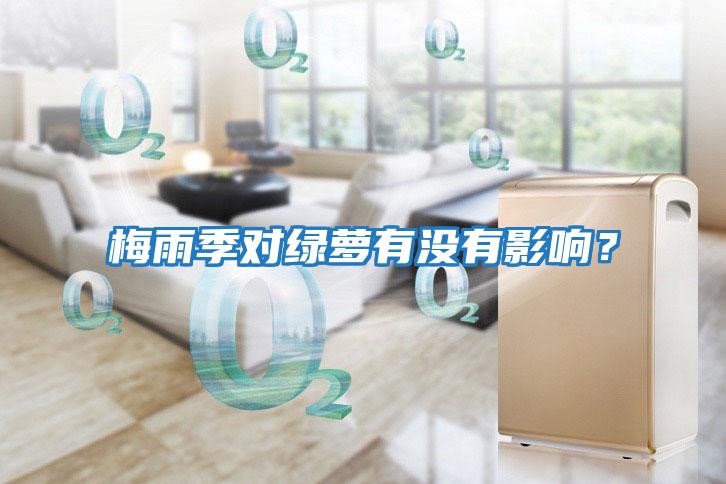 梅雨季對綠蘿有沒(méi)有影響？