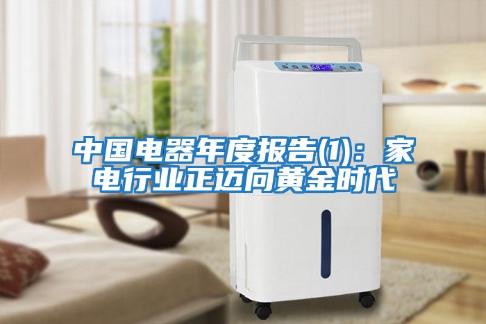 中國電器年度報告(1)：家電行業(yè)正邁向黃金時(shí)代