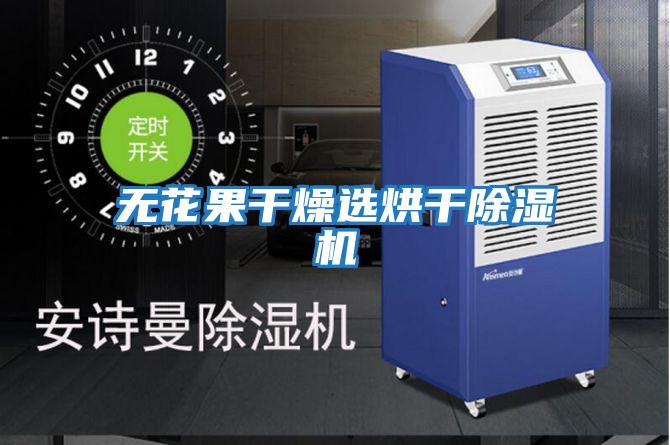 無(wú)花果干燥選烘干除濕機