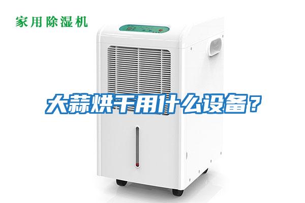 大蒜烘干用什么設備？
