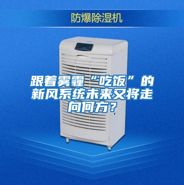 跟著(zhù)霧霾“吃飯”的新風(fēng)系統未來(lái)又將走向何方？