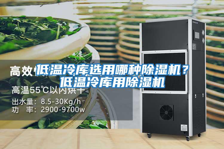 低溫冷庫選用哪種除濕機？低溫冷庫用除濕機