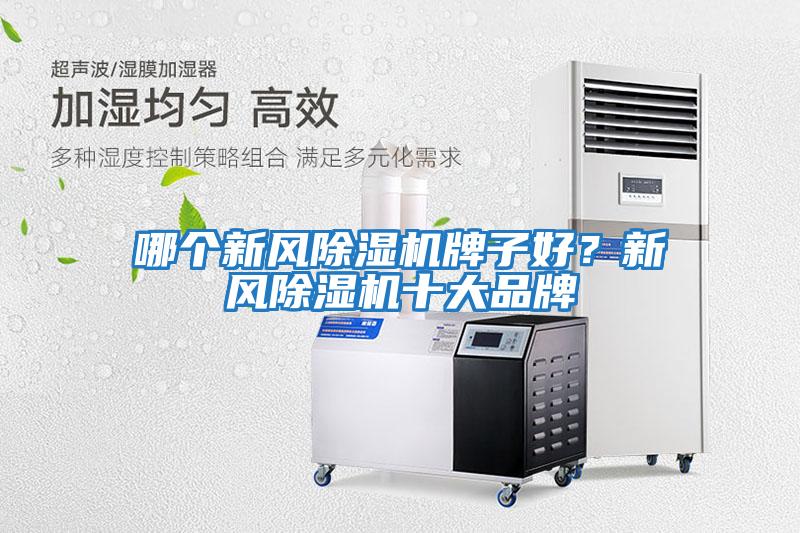 哪個(gè)新風(fēng)除濕機牌子好？新風(fēng)除濕機十大品牌