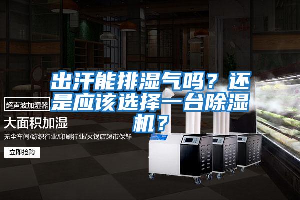 出汗能排濕氣嗎？還是應該選擇一臺除濕機？