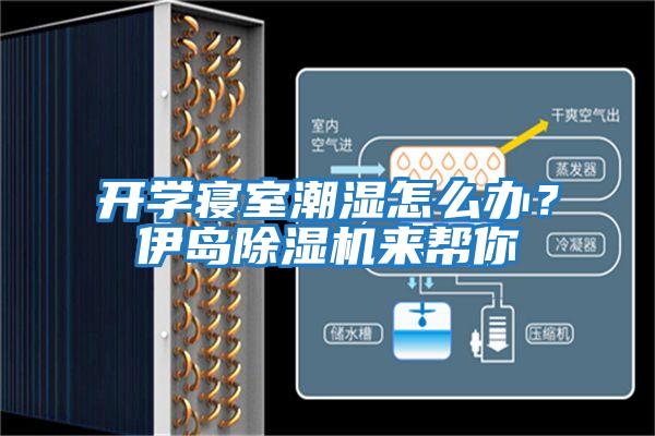 開(kāi)學(xué)寢室潮濕怎么辦？伊島除濕機來(lái)幫你