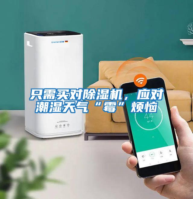 只需買(mǎi)對除濕機，應對潮濕天氣“霉”煩惱